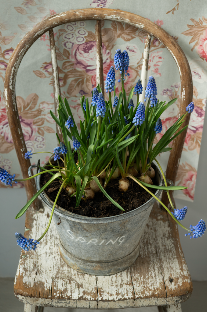 Spring is on the way