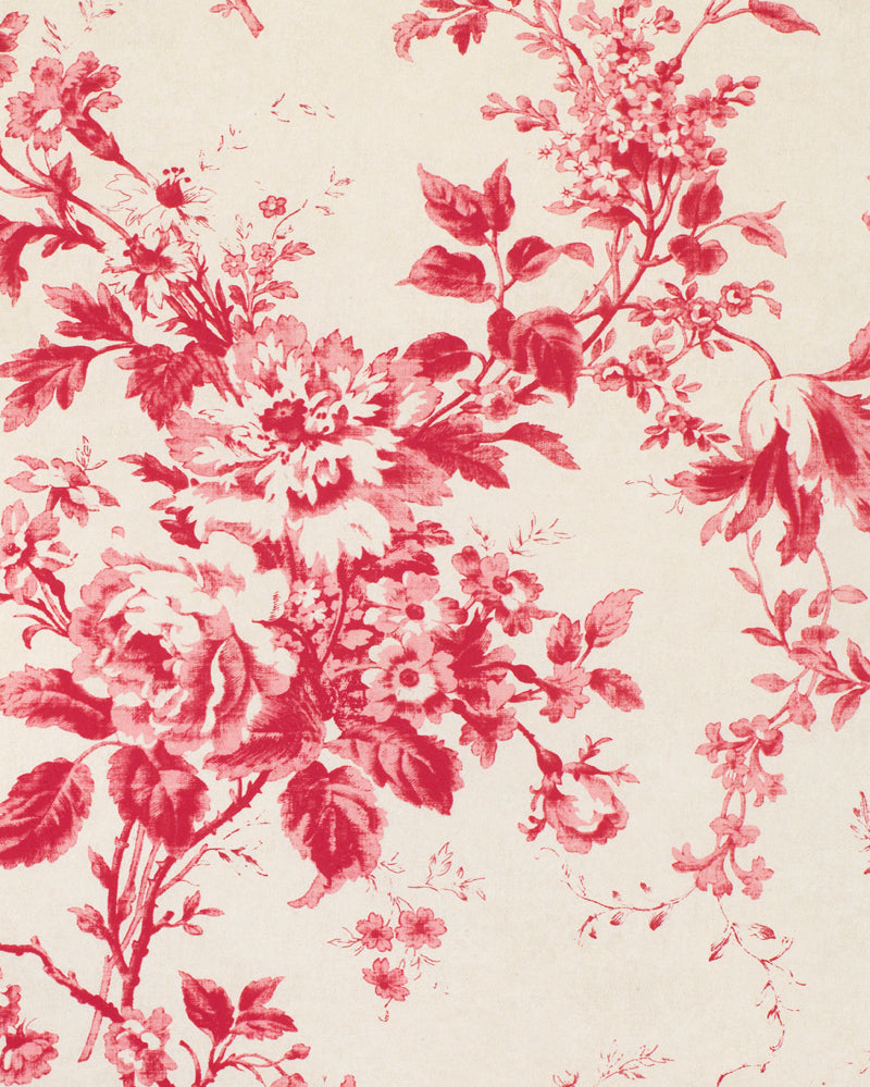 Alderney Raspberry on Natural Wallpaper– cabbagesandroses
