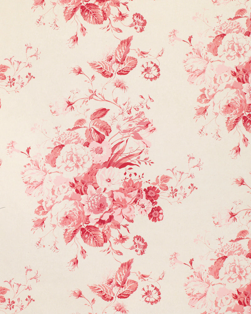 Constance Raspberry on Natural Wallpaper– cabbagesandroses