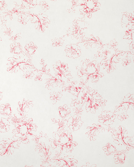 Meggernie Raspberry on White Wallpaper