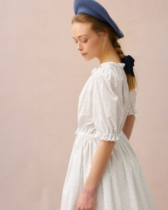 Scott dress in tiny blue floral