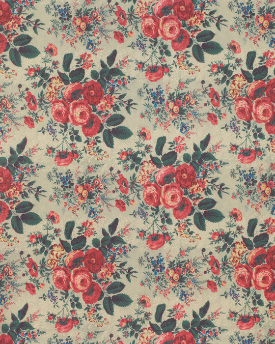 Darcy Rose on White Linen